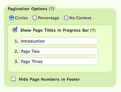 Pagination Options